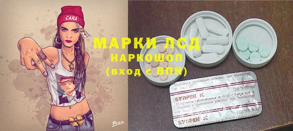 стаф Новодвинск