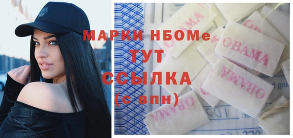 стаф Новодвинск