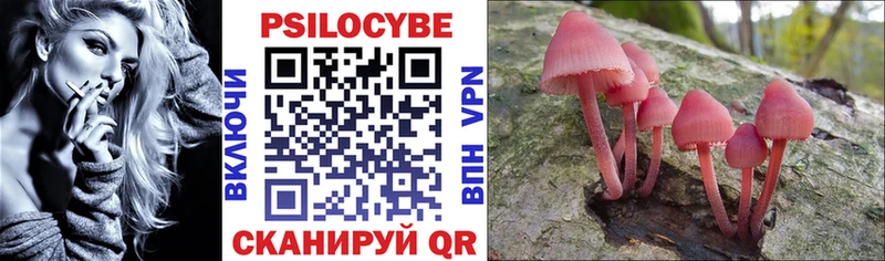 цены   Новомосковск  Галлюциногенные грибы Psilocybine cubensis 